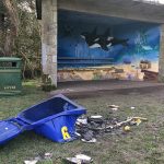 Call for demolition of Cockshaugh Park shelter
